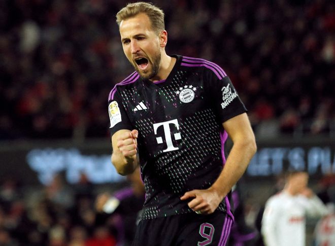 似乎被白色 似乎被白色