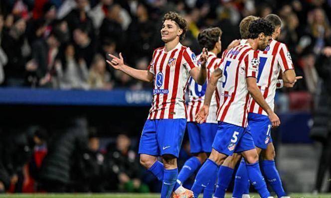 多为针对性 多为针对性